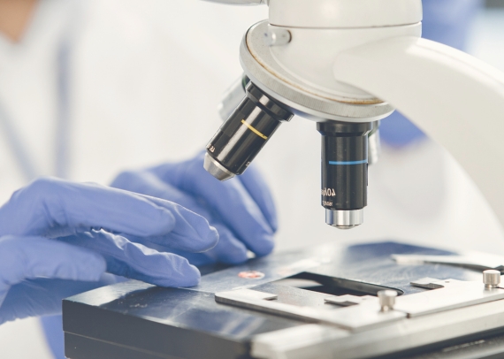 laboratorio